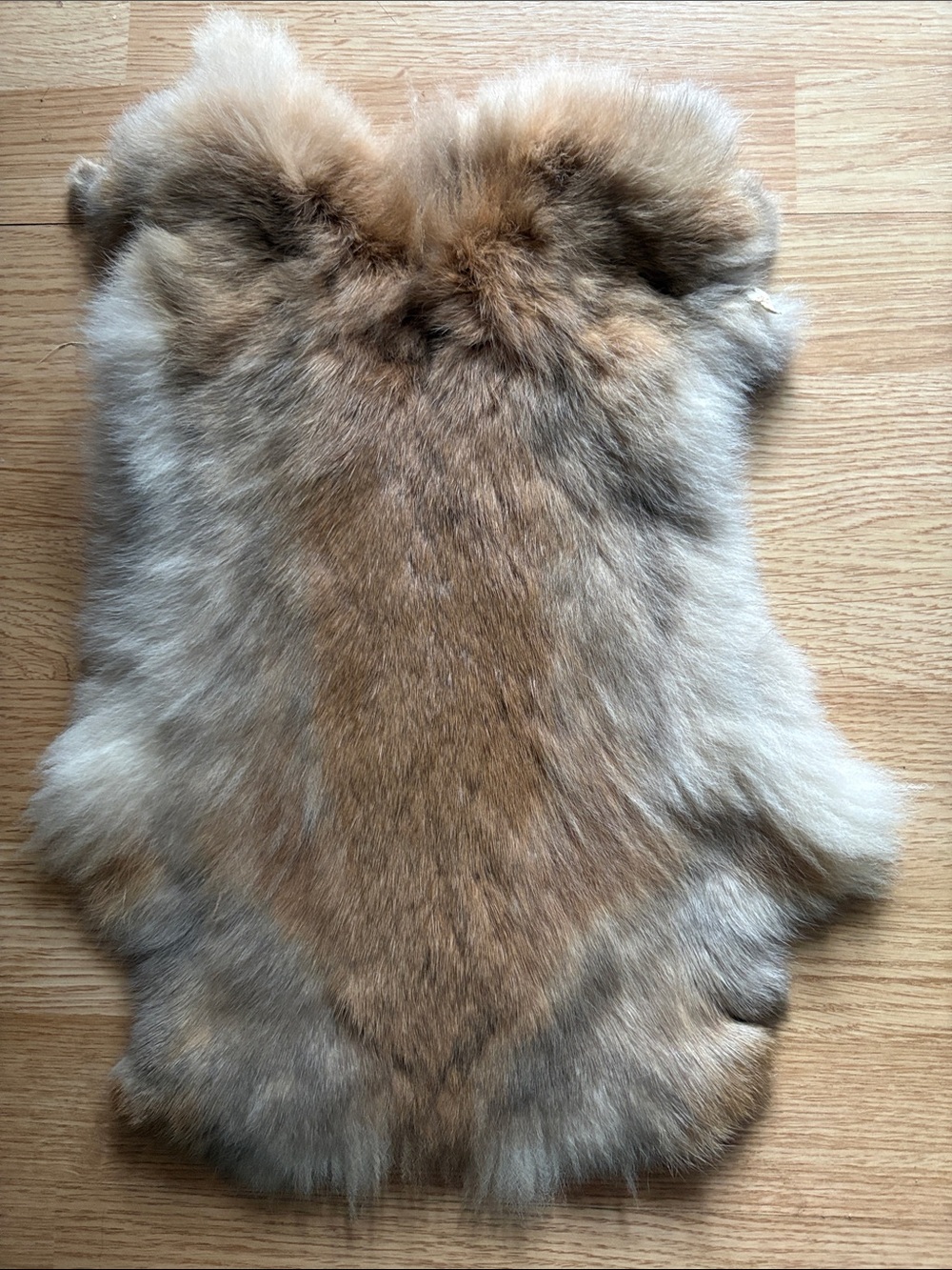 C0031 Rabbit  Pelt in Warm Tan and Cream